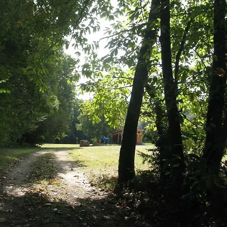 La Clairiere *