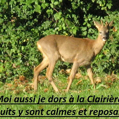 La Clairiere Bed & Breakfast *